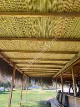 Bambu Gölgelik