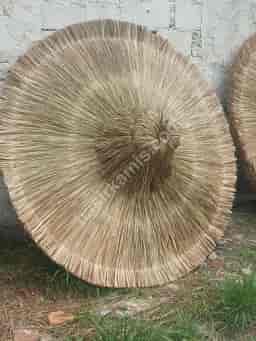 Bambu Şemsiye