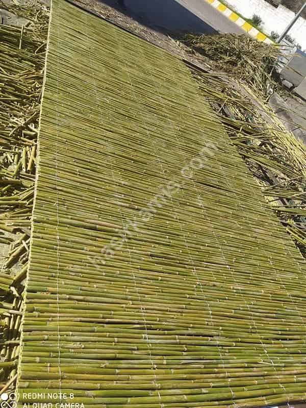 Bambu Kamış Rulo