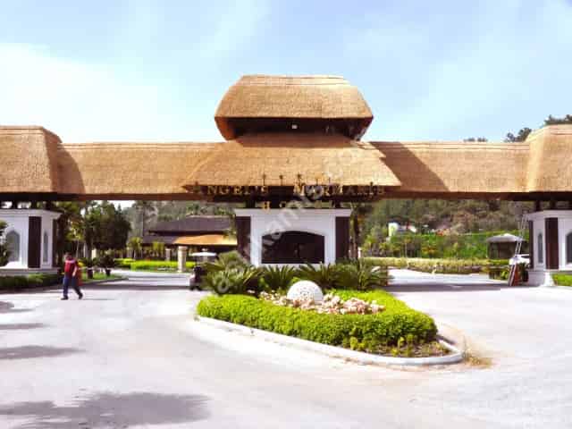 Kamış Çatı Kaplama