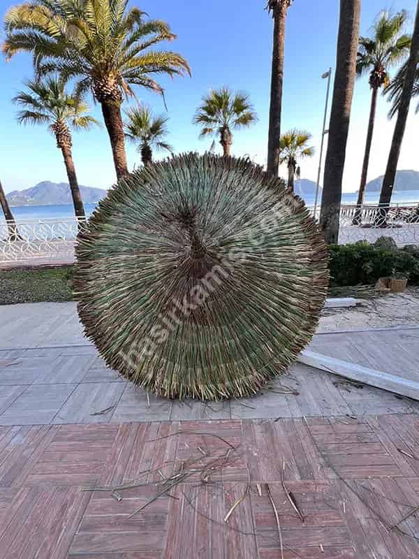 Antalya Hasır Şemsiye