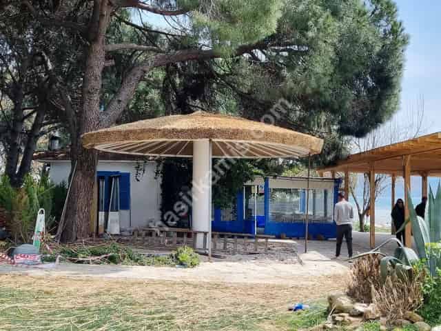Kıbrıs Hasır Şemsiye