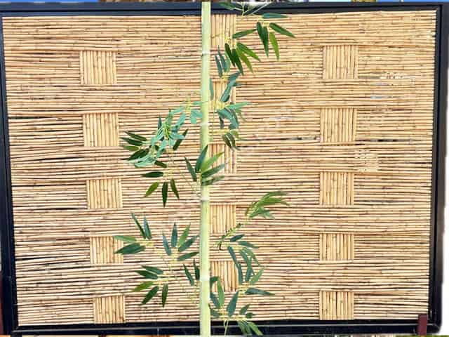 Bambu Dekorasyon