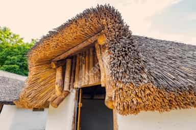 Saz Dekorasyon