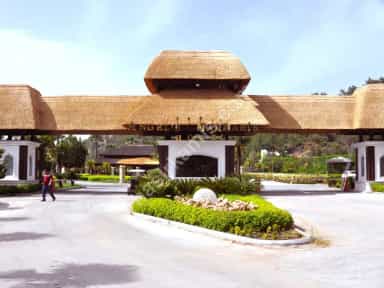 Kamış Dekorasyon