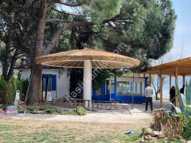 Bambu Şemsiye