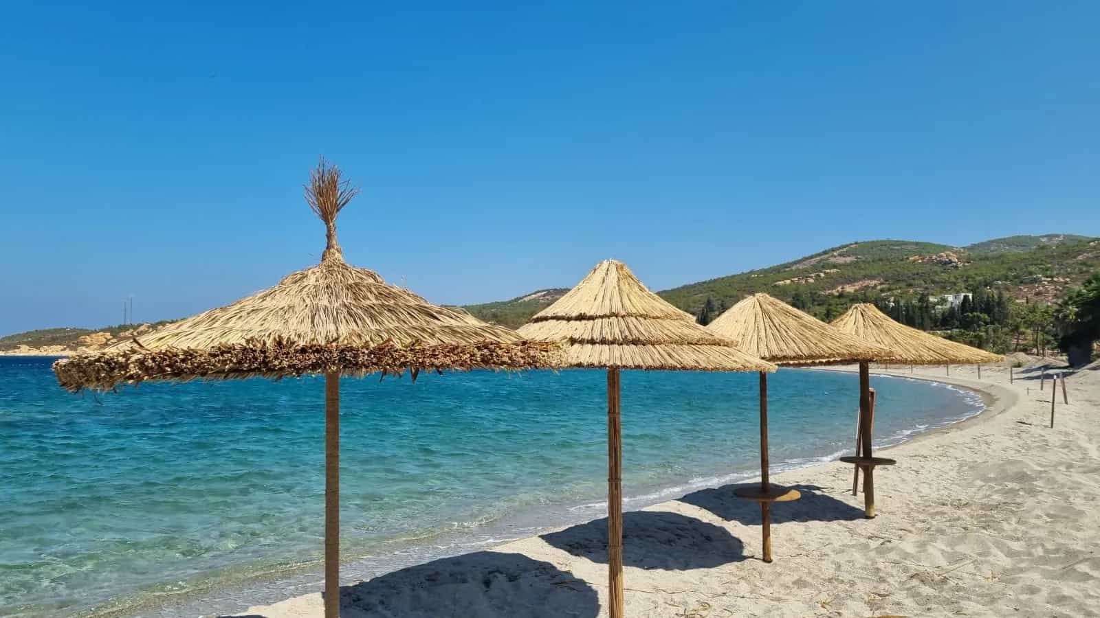 Hakkımızda