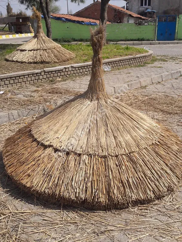 Saz