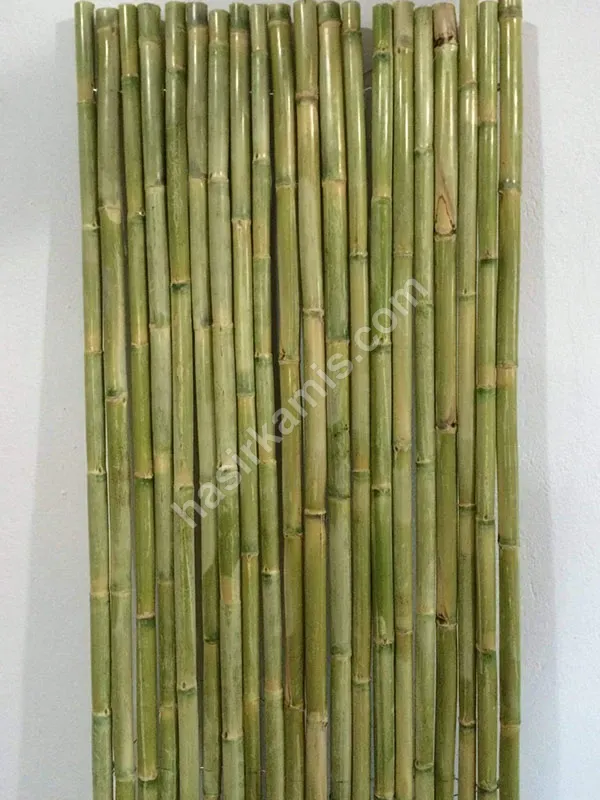 Bambu