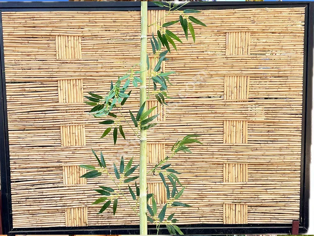 Bambu