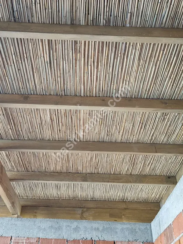 Bambu