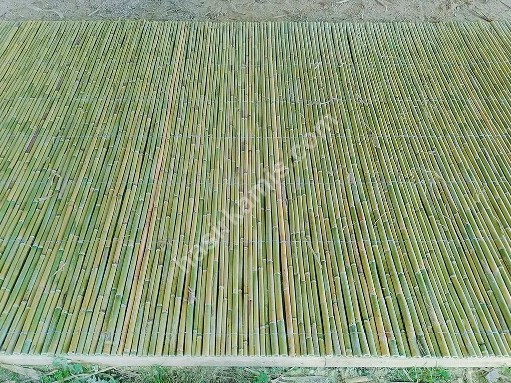 Kargı