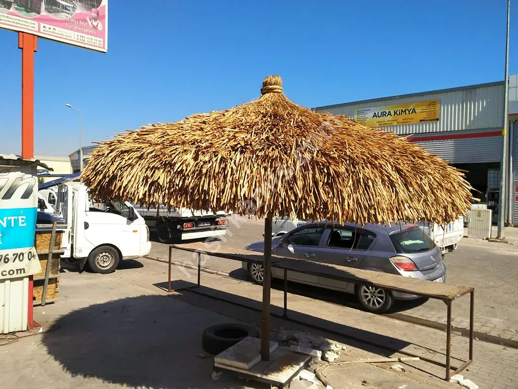Kıbrıs