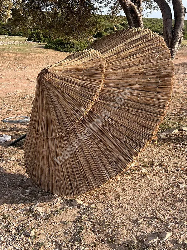 Kamıştan
