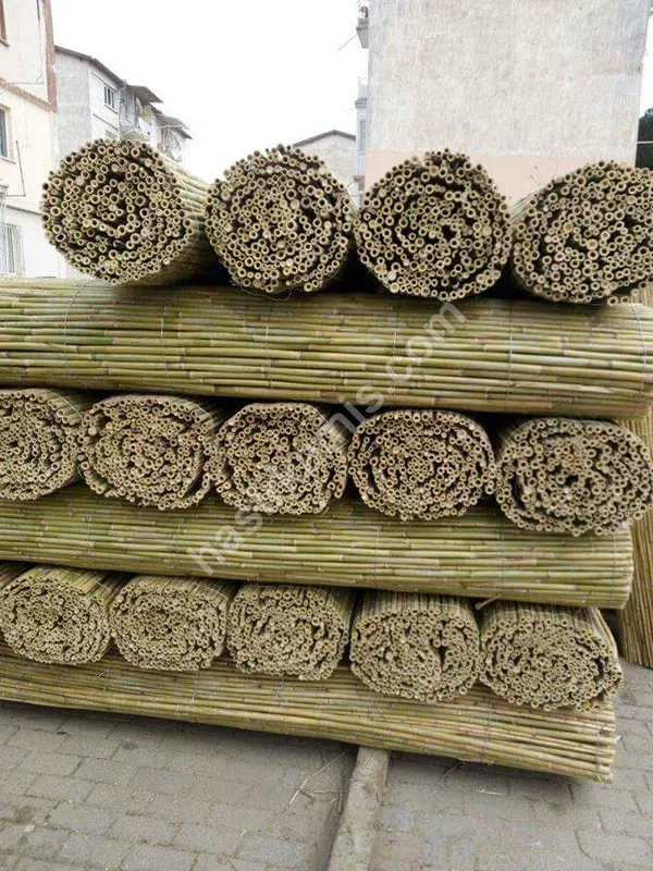 Kargı