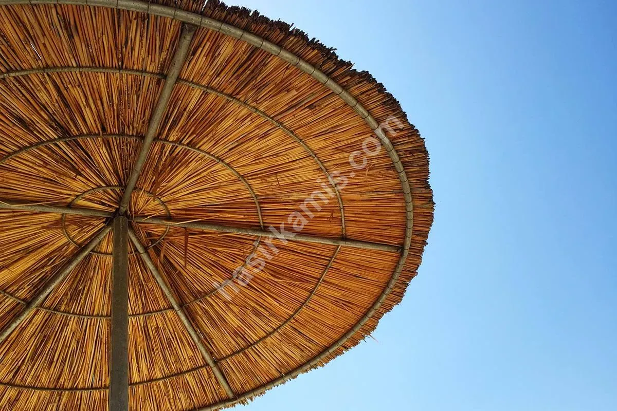Kamış