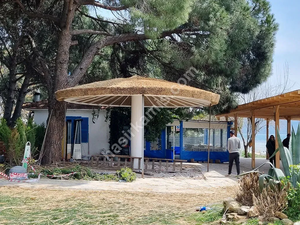 Kıbrıs